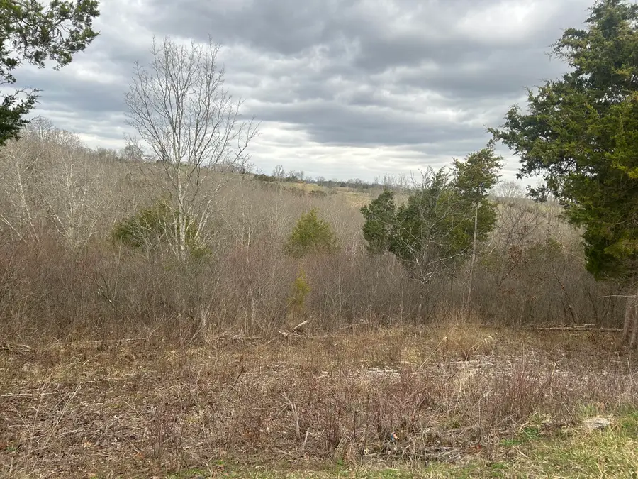 6 Lot New Zion Road, Falmouth, KY 41040 - #2