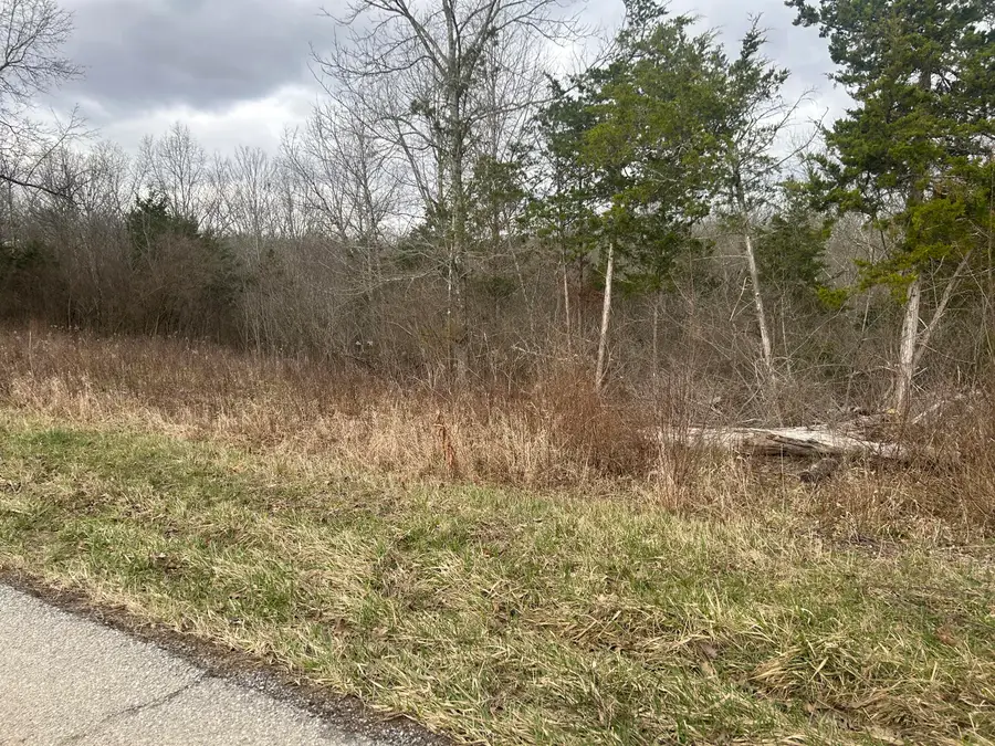 6 Lot New Zion Road, Falmouth, KY 41040 - #3