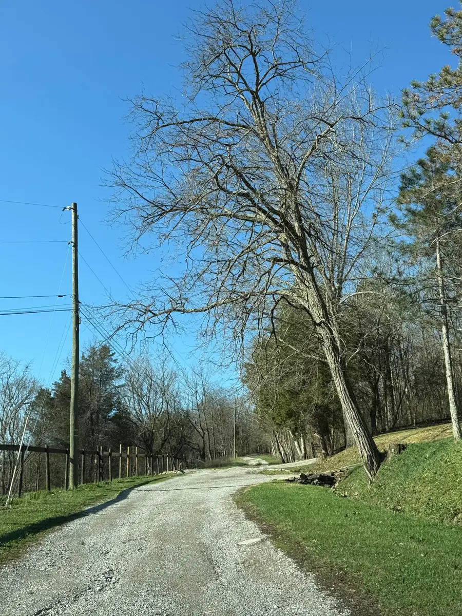 4695 Rabbit Hash Road, Union, KY 41091 - #3