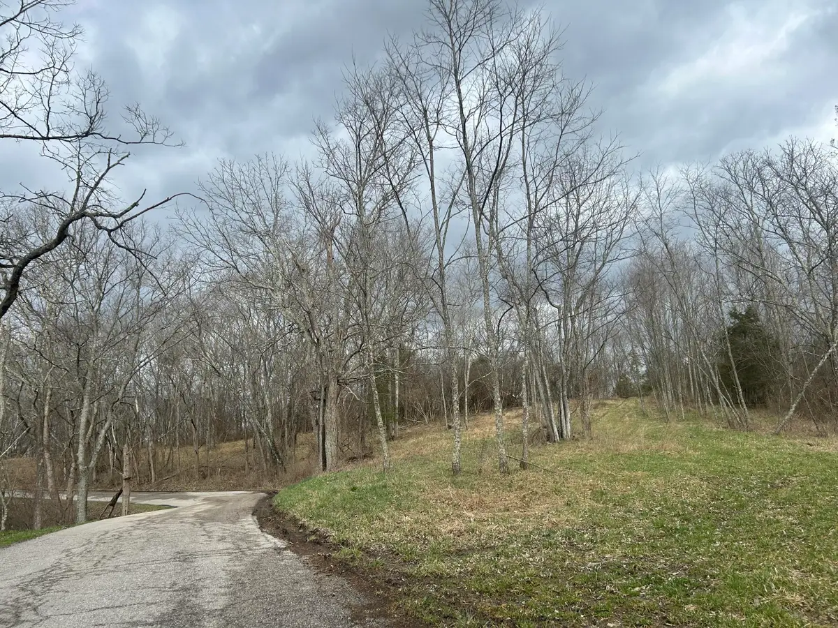 Lot  # 7 New Zion Road, Falmouth, KY 41040 - #1