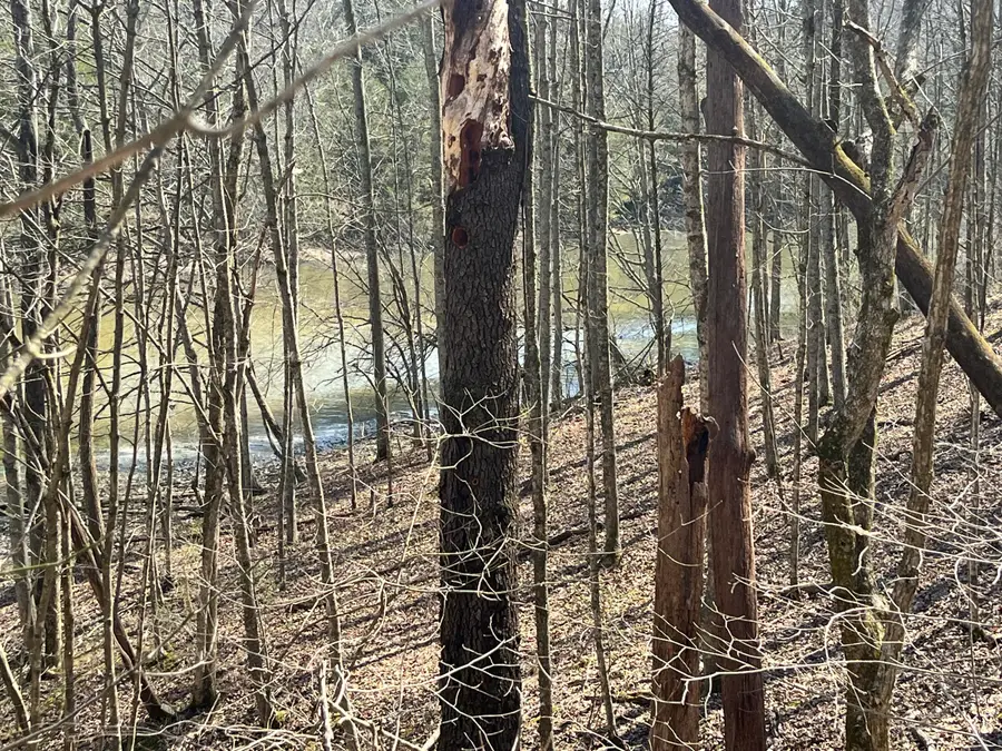 3105 Gratz Road 59 & 60, Owenton, KY 40359 - #2