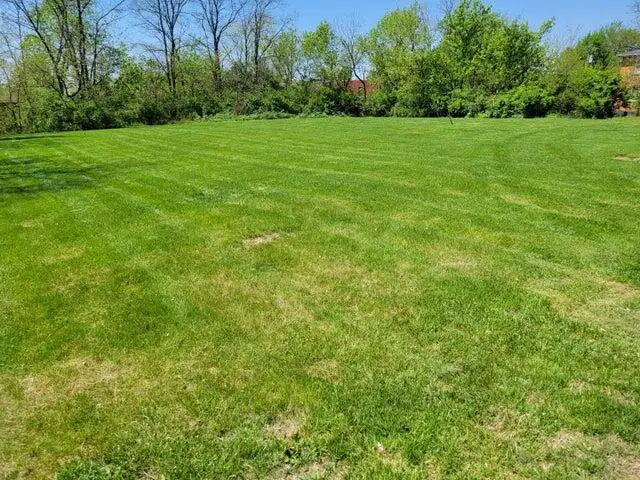 0000 Dixie Highway Hwy, Florence, KY 41042 - #1