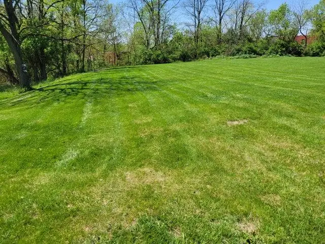 0000 Dixie Highway Hwy, Florence, KY 41042 - #2