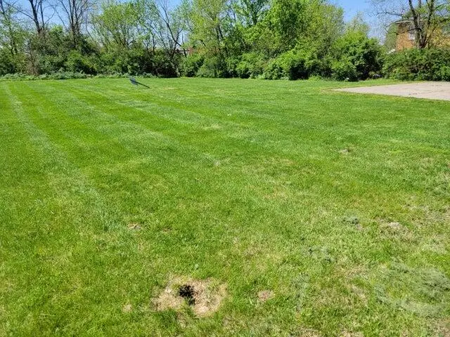 0000 Dixie Highway Hwy, Florence, KY 41042 - #3