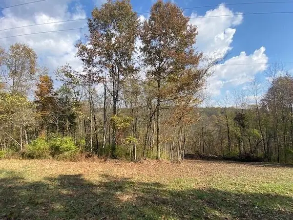 755 Galbraith Road, Brooksville, KY 41004