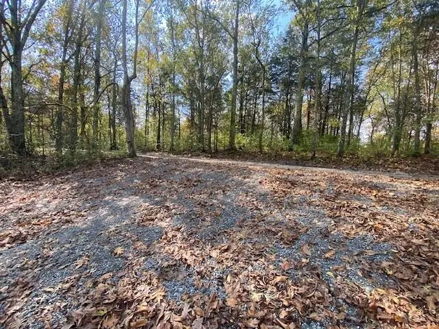 697 Galbraith Road, Brooksville, KY 41004 - #1