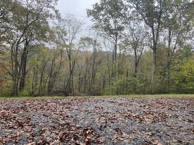 697 Galbraith Road, Brooksville, KY 41004 - #2