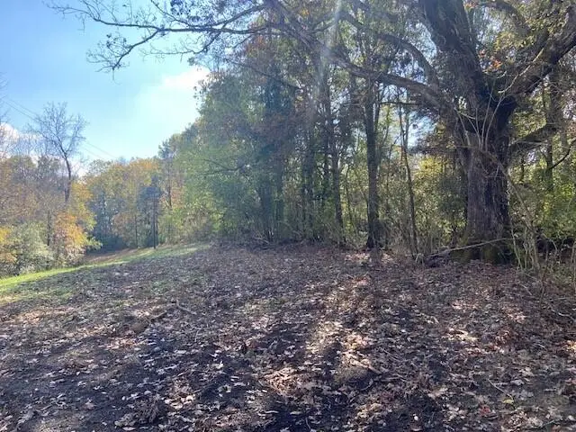 881 Galbraith Road, Brooksville, KY 41004 - #1