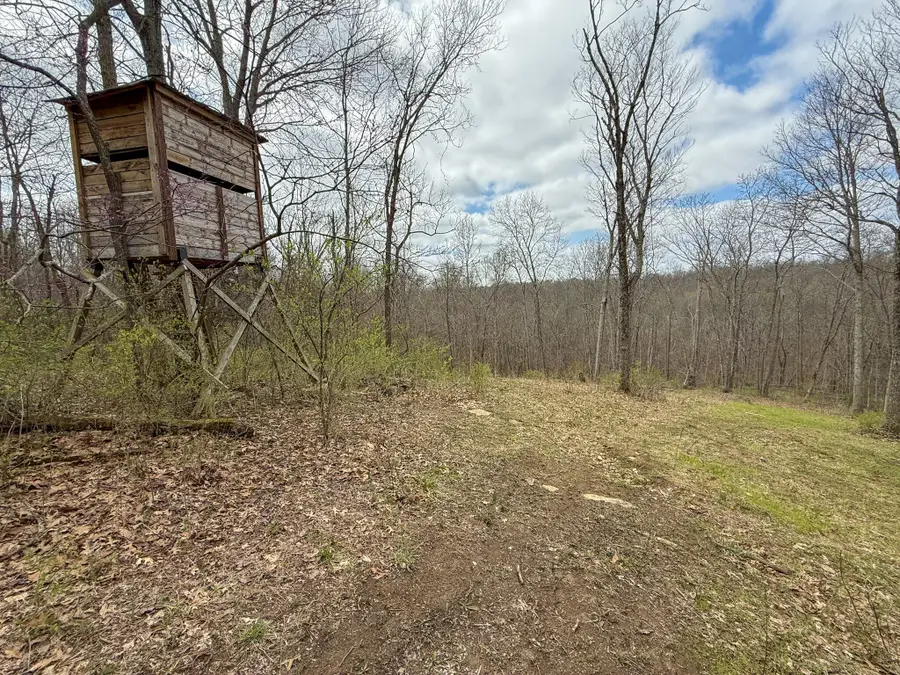 4077 Justin Scott Lane, Germantown, KY 41044 - #3