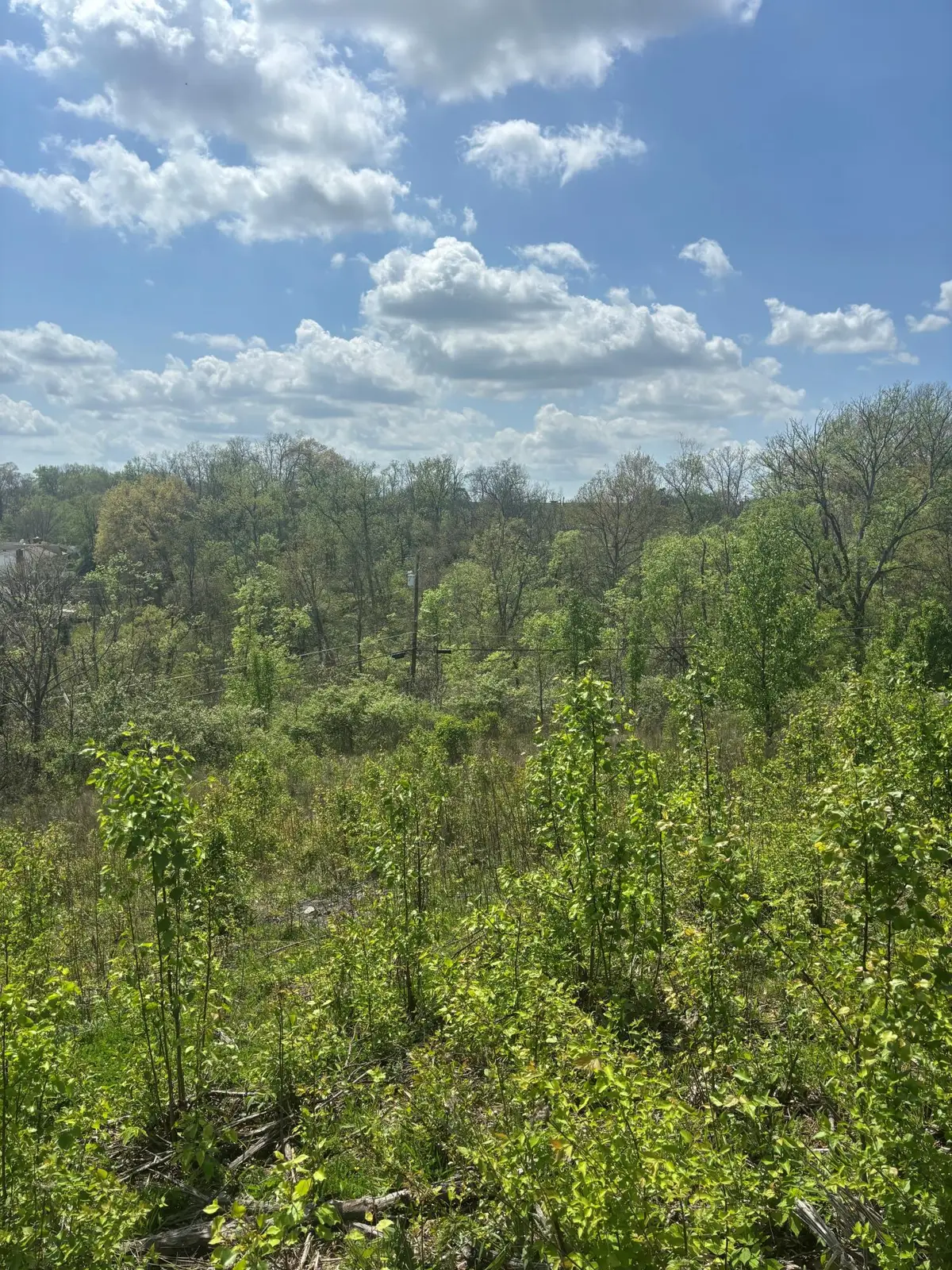 85 Kentucky Drive, Newport, KY 41071 - #1