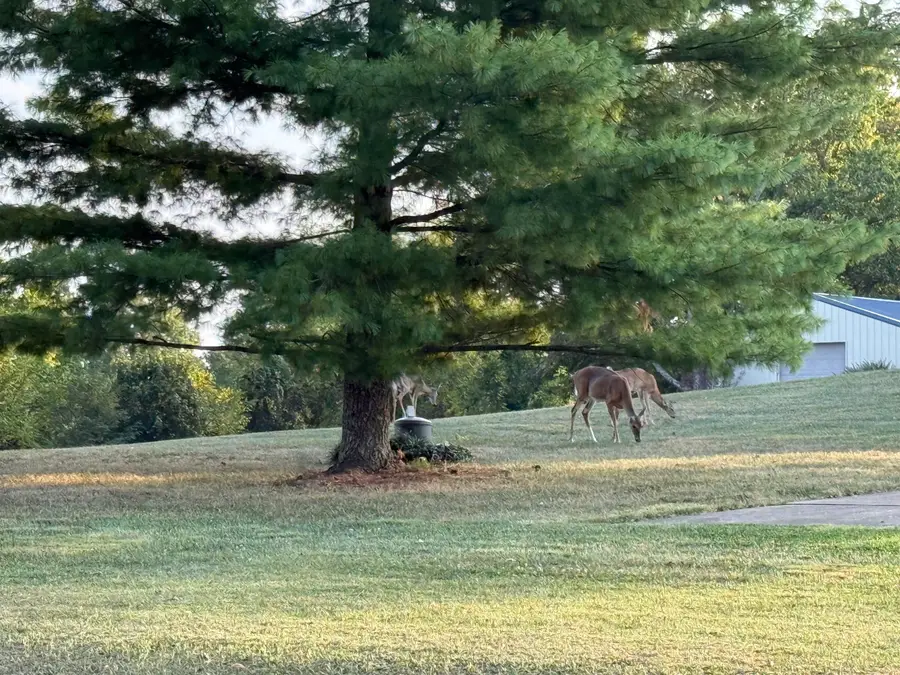 1775 Dry Ridge Mount Zion Road, Dry Ridge, KY 41035 - #2