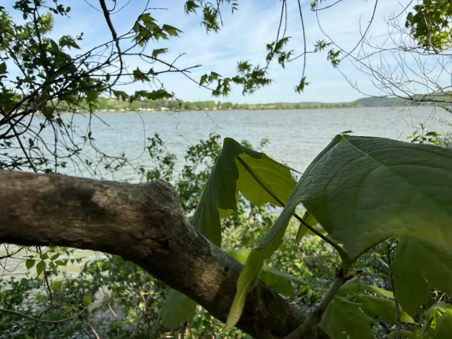 0 Hwy 1992 Hwy, Warsaw, KY 41095 - #3