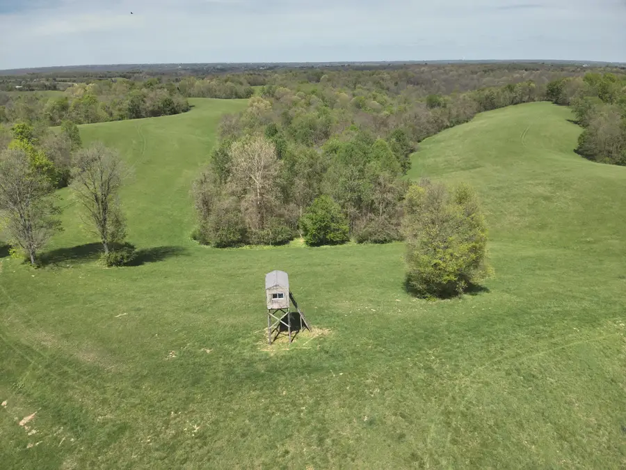 2451 Sardis Road, Mount Olivet, KY 41064 - #3