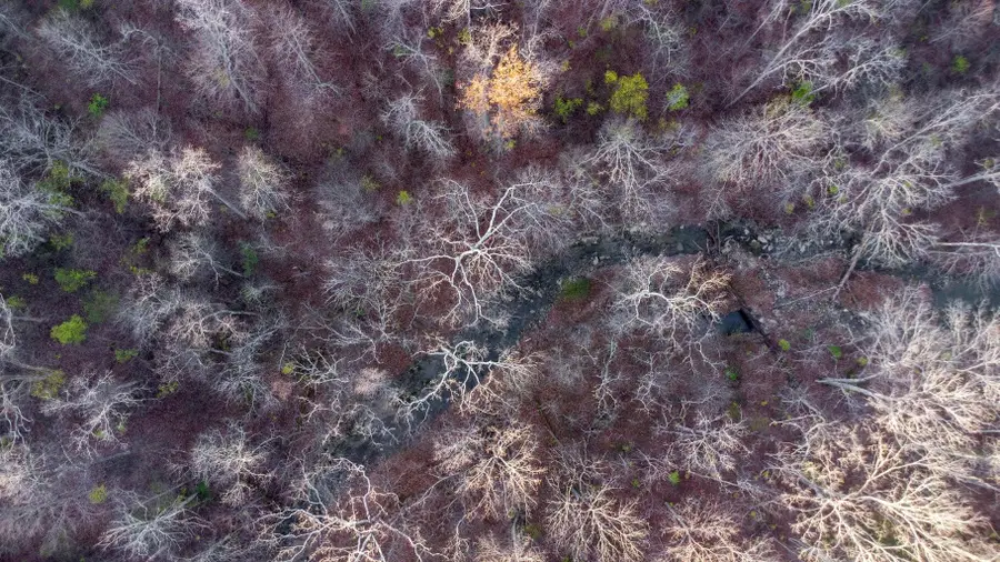 580 Claiborne Drive, Dry Ridge, KY 41035 - #2