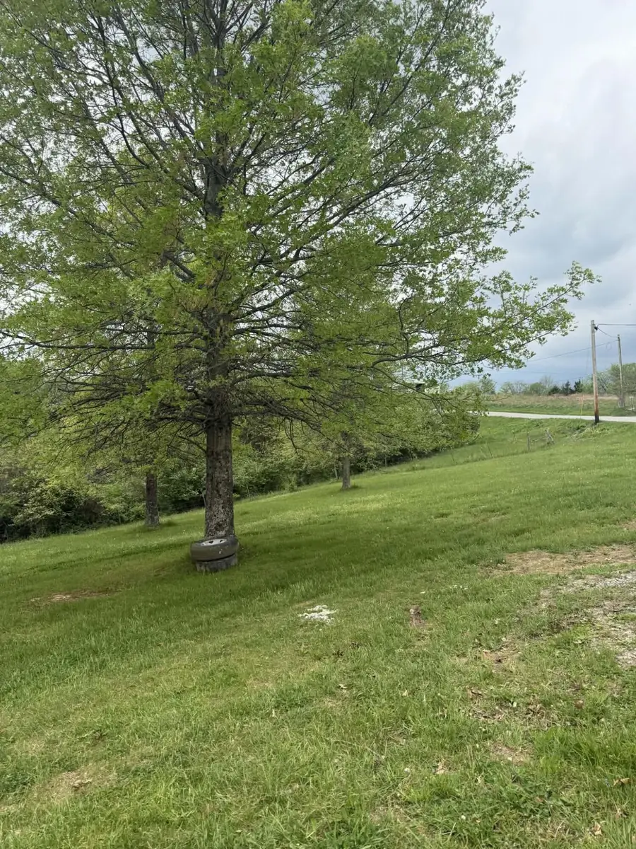 1692 Hogg Ridge Road, Williamstown, KY 41097 - #3