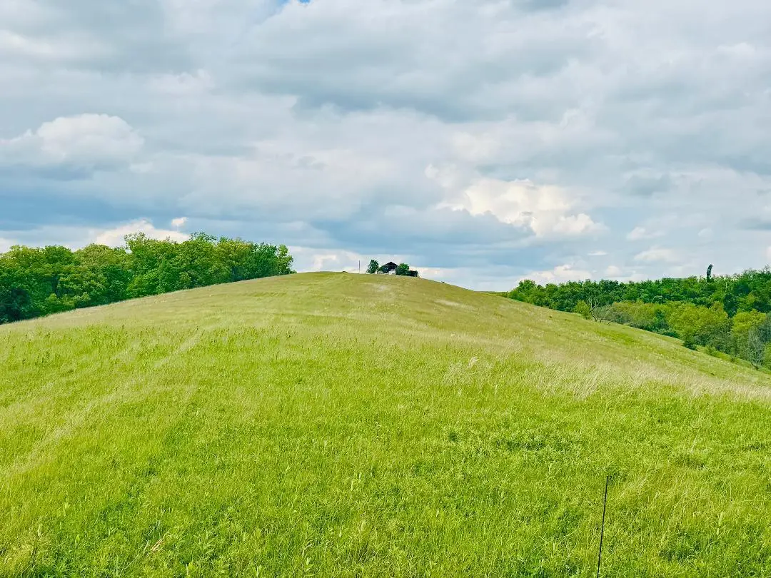43 Acres Chipman Ridge Road #43 Acres, +/-, Williamstown, KY 41097 - #1