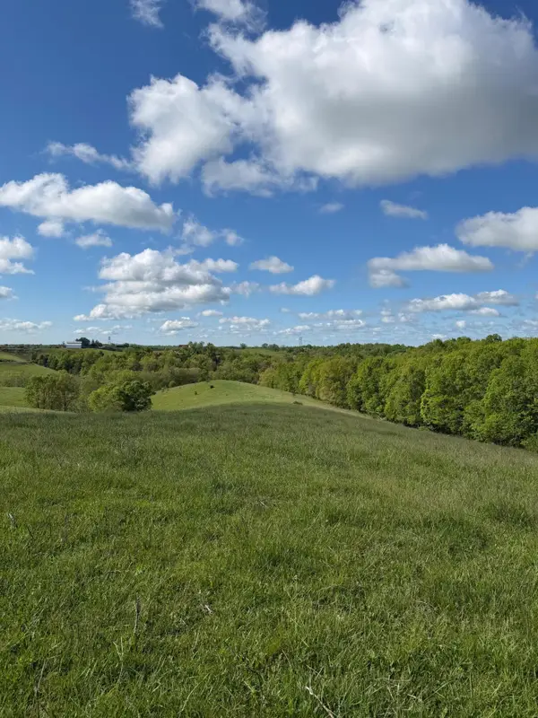 14.17 Ac Chipman Ridge Road, Williamstown, KY 41097