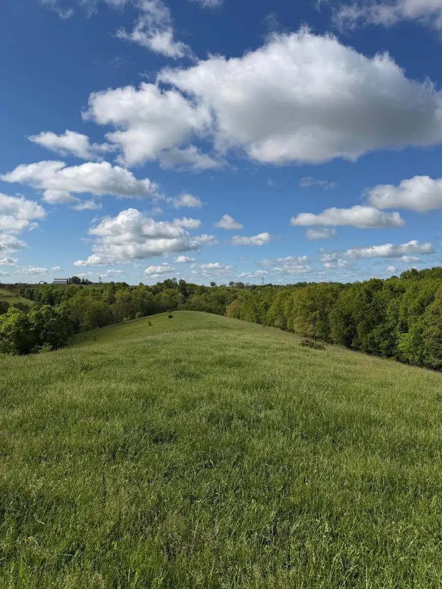 14.17 Ac Chipman Ridge Road, Williamstown, KY 41097 - #2