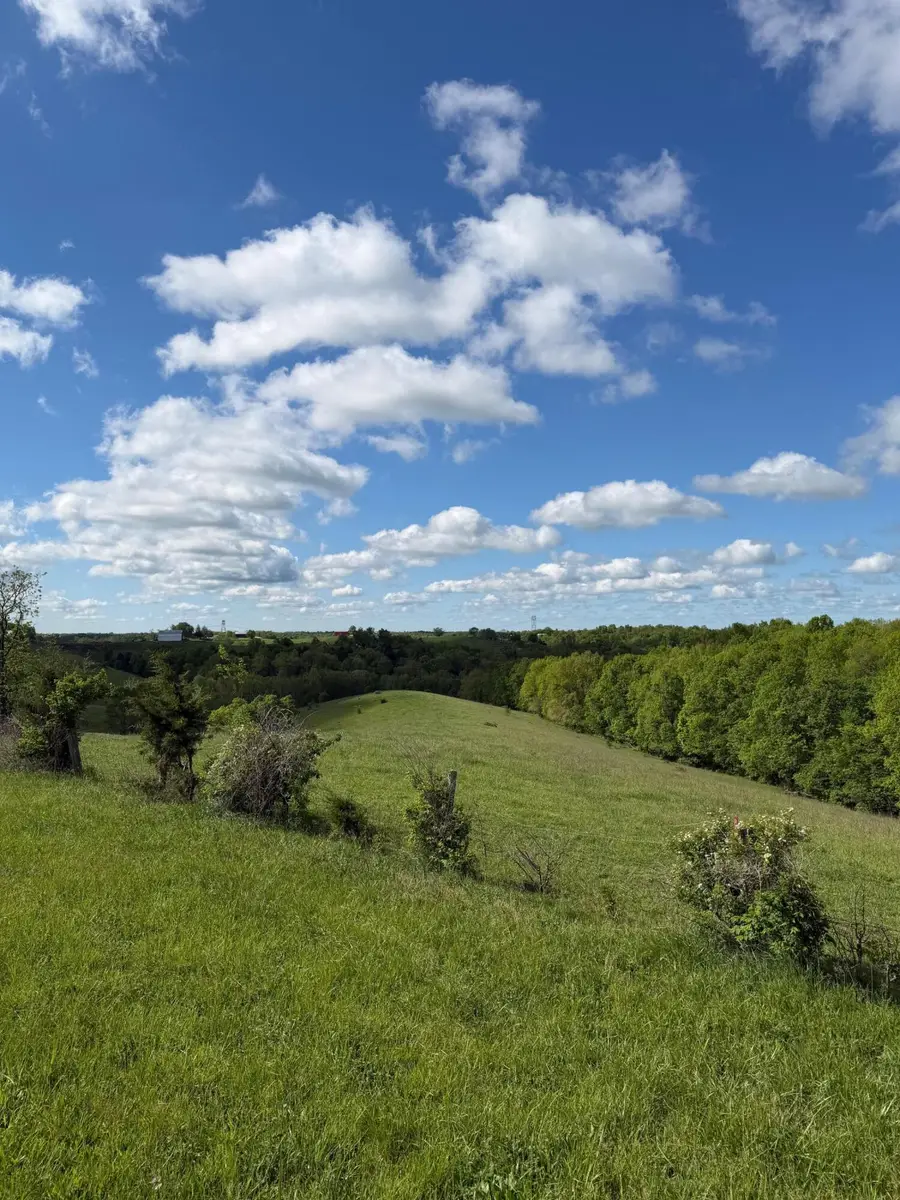 14.17 Ac Chipman Ridge Road, Williamstown, KY 41097 - #3