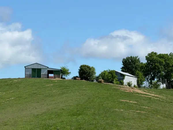 20.99 Ac Chipman Ridge Road, Williamstown, KY 41097