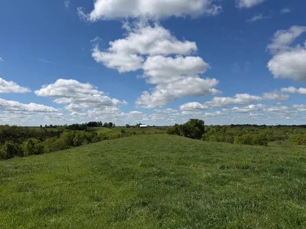 24.81 Ac Chipman Ridge Road, Williamstown, KY 41097