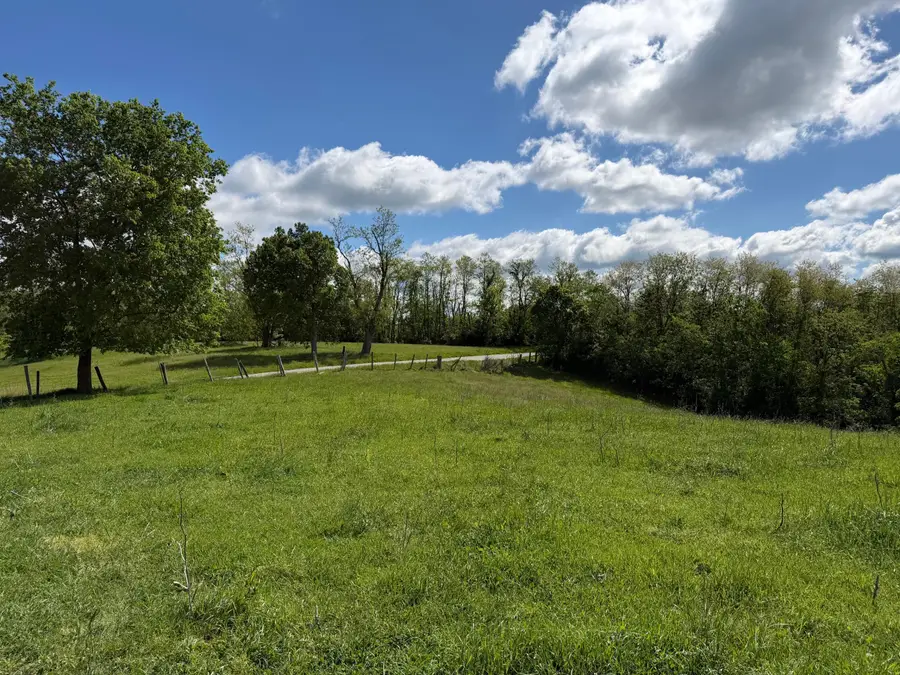 24.81 Ac Chipman Ridge Road, Williamstown, KY 41097 - #2