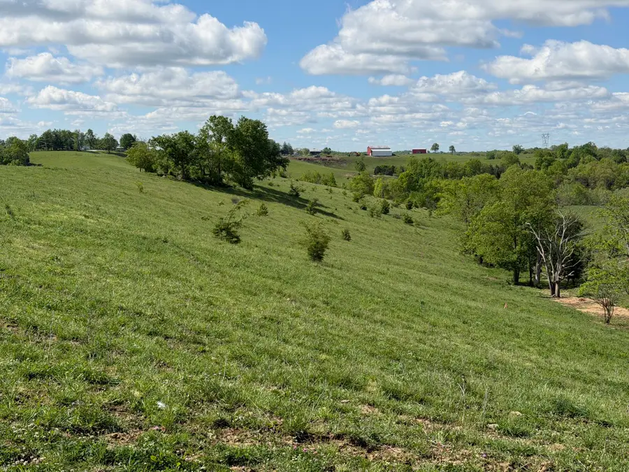 24.81 Ac Chipman Ridge Road, Williamstown, KY 41097 - #3