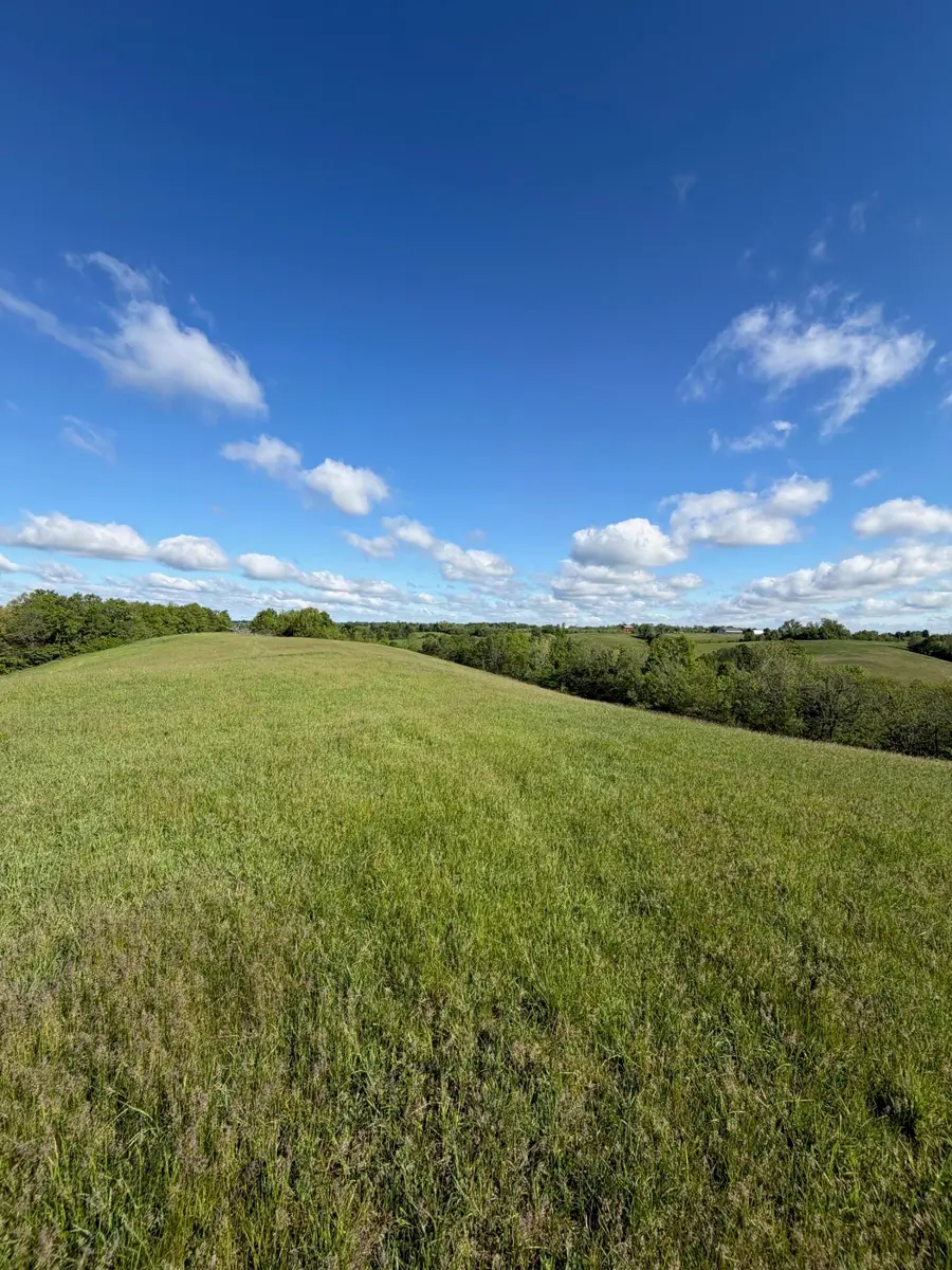 32.28 Ac Chipman Ridge Road, Williamstown, KY 41097 - #3