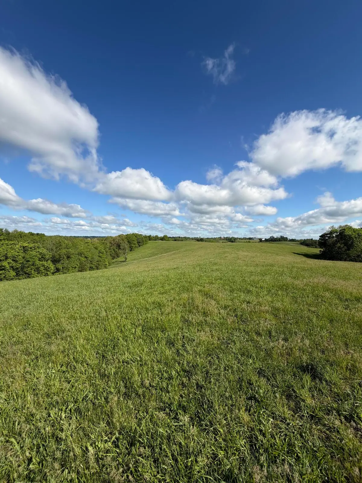 5.11 Ac Chipman Ridge Road, Williamstown, KY 41097 - #1