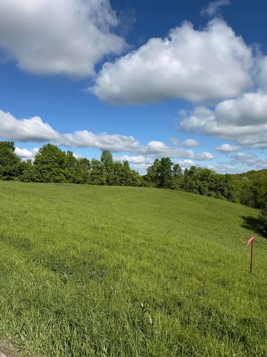 5.28 Ac Chipman Ridge Road, Williamstown, KY 41097 - #2