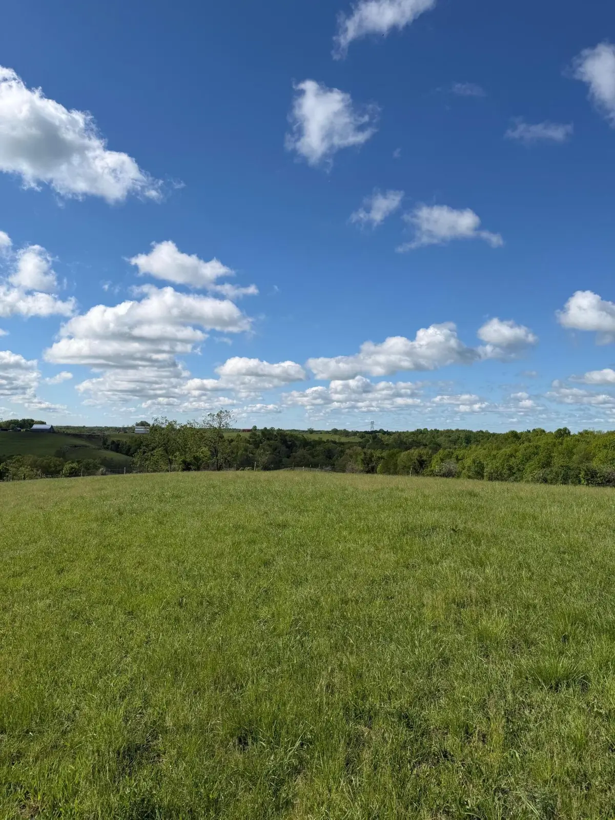 6.93 Ac Chipman Ridge Road, Williamstown, KY 41097 - #1