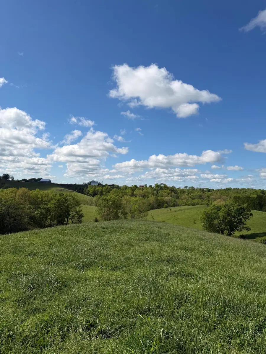 6.93 Ac Chipman Ridge Road, Williamstown, KY 41097 - #2