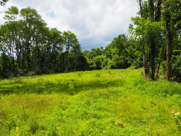 8185 Camp Ernst Road, Burlington, KY 41005