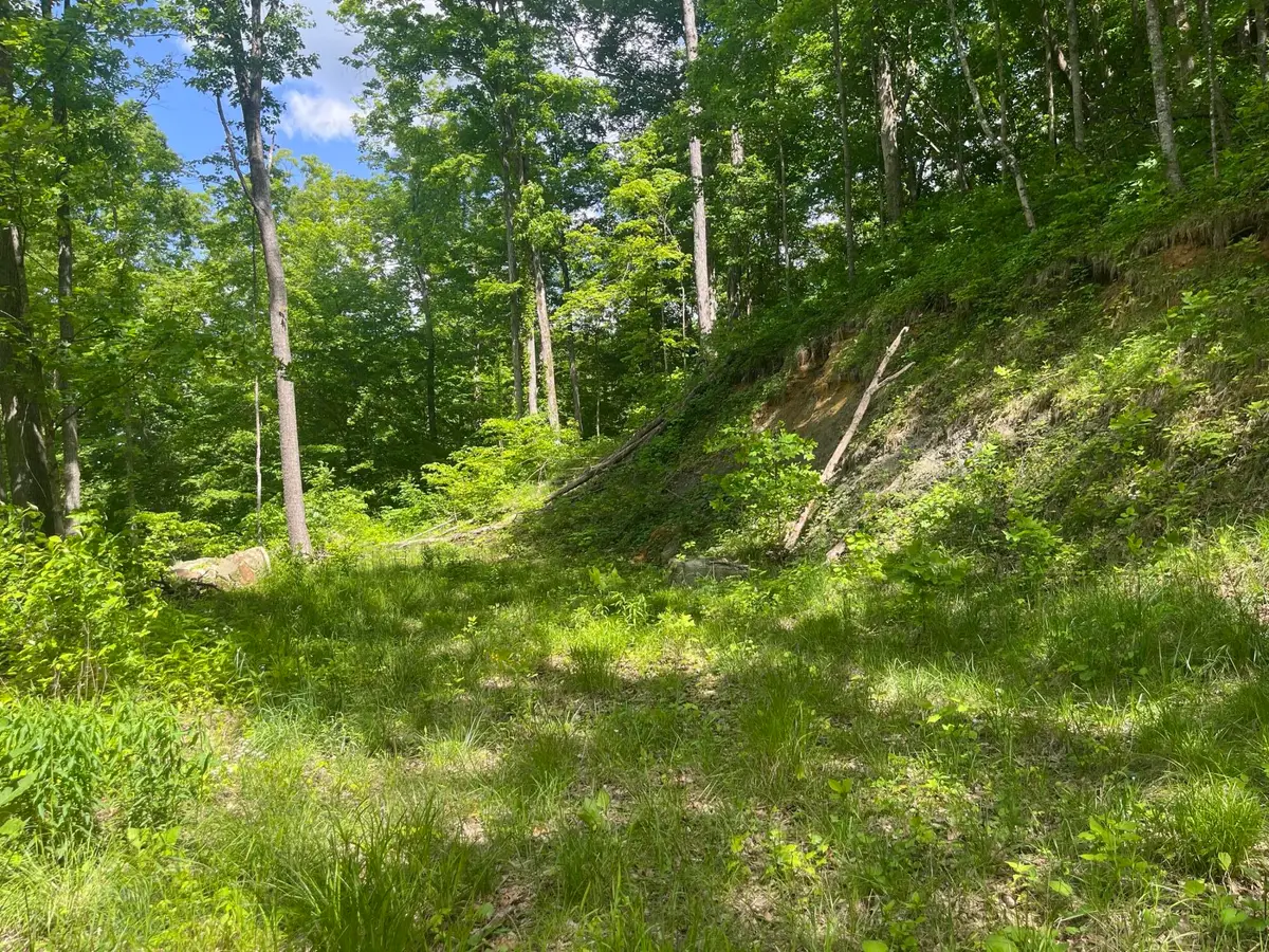 0 Birch Hollow Road #Lot 12, Stanton, KY 40380 - #1