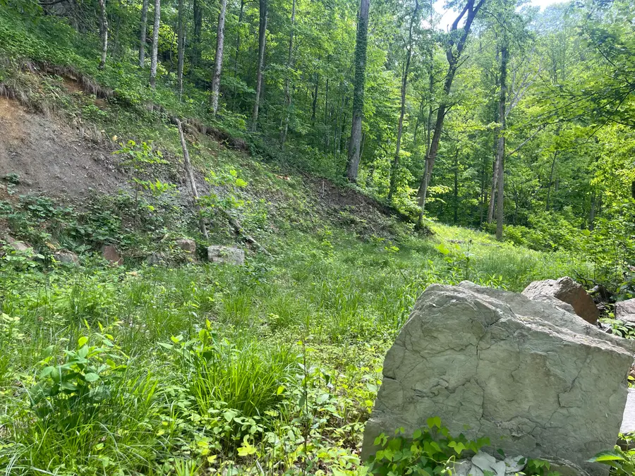 0 Birch Hollow Road #Lot 12, Stanton, KY 40380 - #2