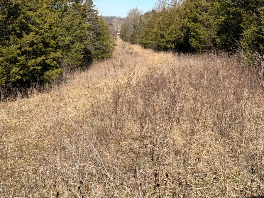 00 Pleasant View Cemetery Road, Corinth, KY 41010 - #3
