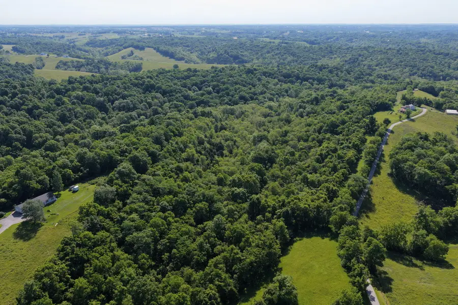 0 Crockett Lane, Mount Olivet, KY 41064 - #2