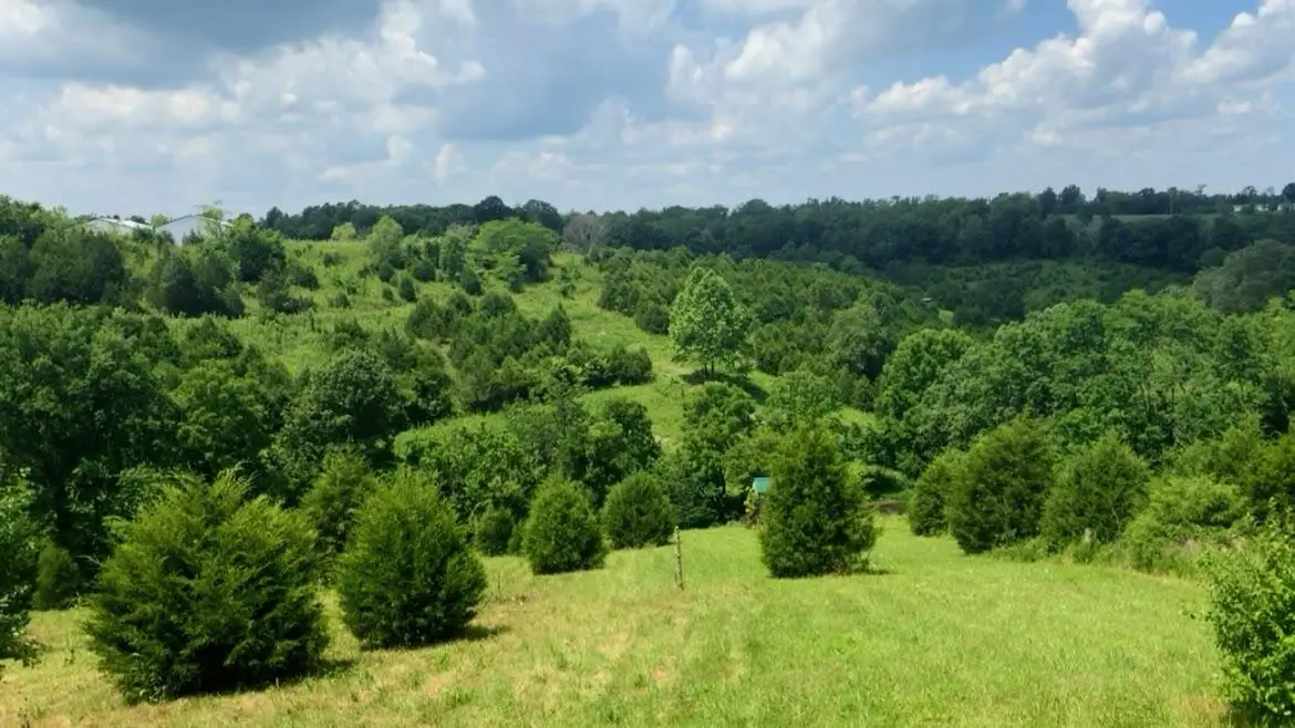8530 Hwy 22 East, Owenton, KY 40359 - #1