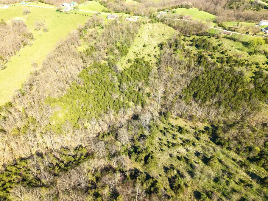 27.28 Acre Hwy 467, Demossville, KY 41033 - #3