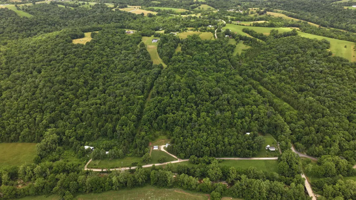 215 Big Twin Creek Road, Worthville, KY 41098 - #1