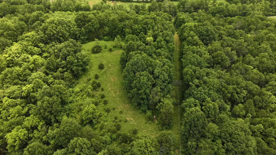 215 Big Twin Creek Road, Worthville, KY 41098 - #2