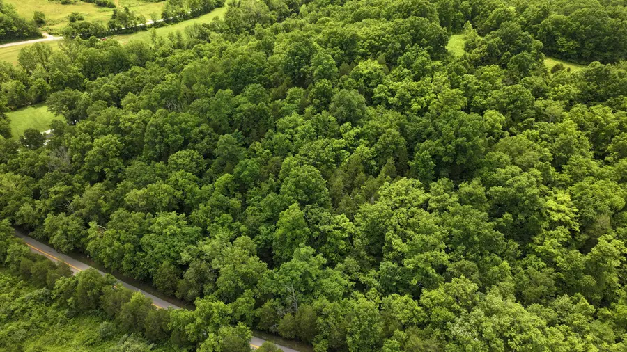 215 Big Twin Creek Road, Worthville, KY 41098 - #3