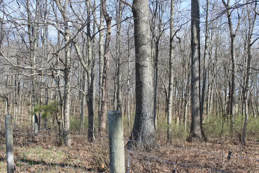 1474 Poindexter Road, Cynthiana, KY 41031 - #3