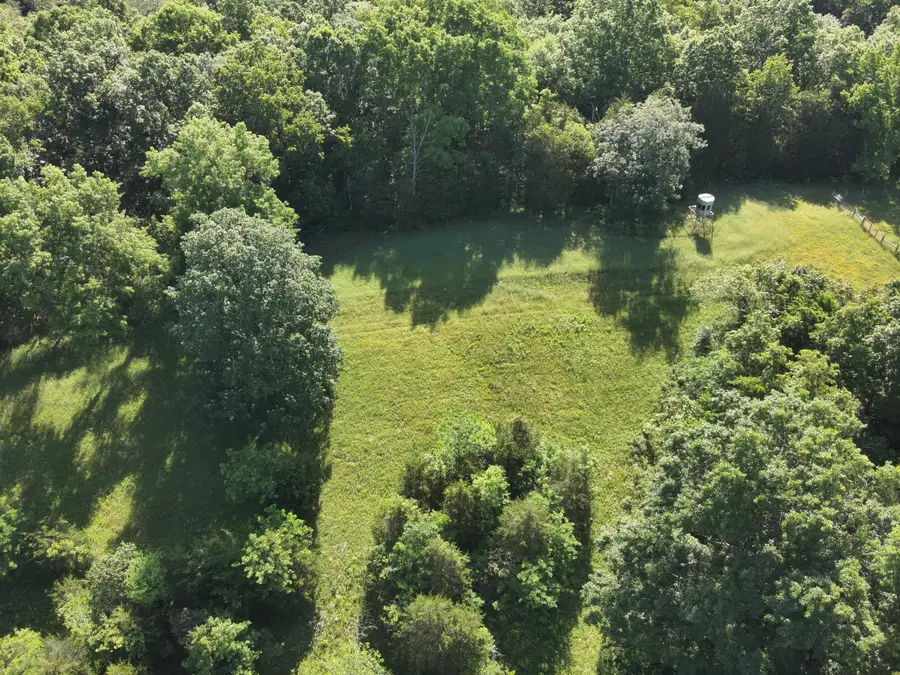 1815 Cedar Creek Road, Mount Olivet, KY 41064 - #2