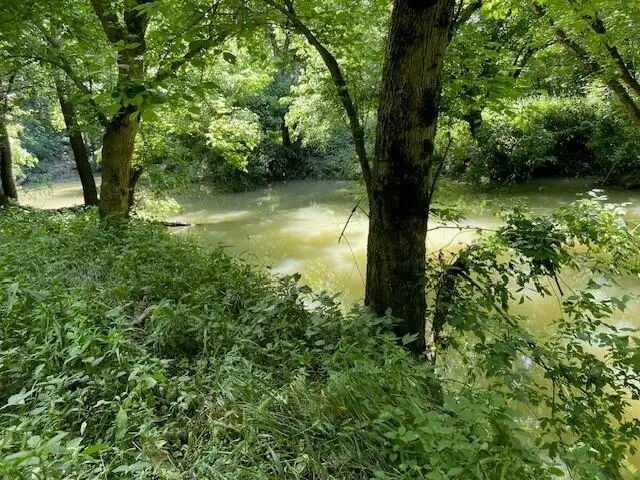 113 Lee's Creek Road, Dover, KY 41034 - #2