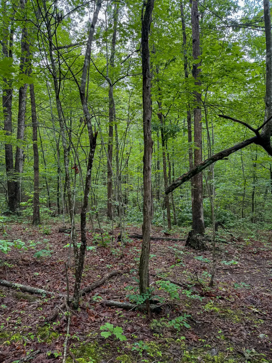 0 Thorp Ridge Road, Vanceburg, KY 41179 - #2