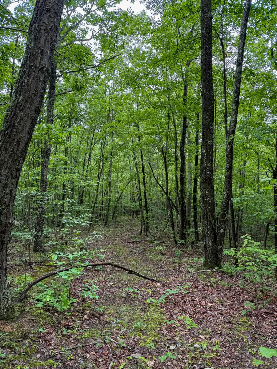 0 Thorp Ridge Road, Vanceburg, KY 41179 - #3