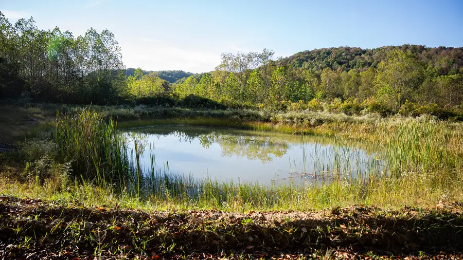 9361 Kentucky 344, Vanceburg, KY 41179 - #3
