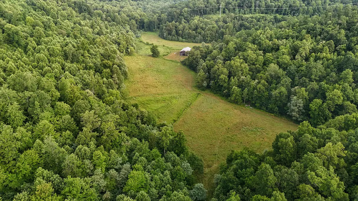 00 Thorp Ridge, Vanceburg, KY 41179 - #1