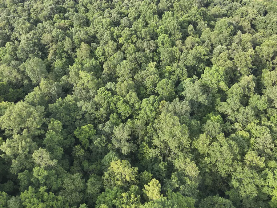 607 Galbraith Road, Brooksville, KY 41004 - #3
